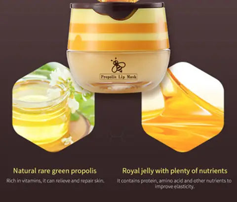 Bee Balm Honey Pot Lip Balm for Hydration and Smoothing